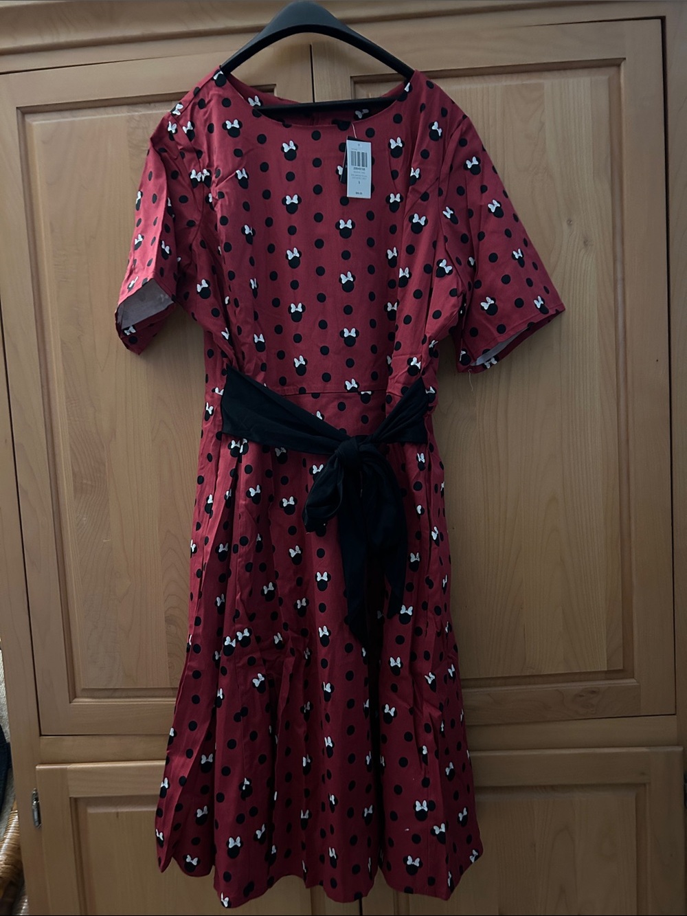 Her Universe Minnie Pok A Dot dress Women’s Plus Size 5
